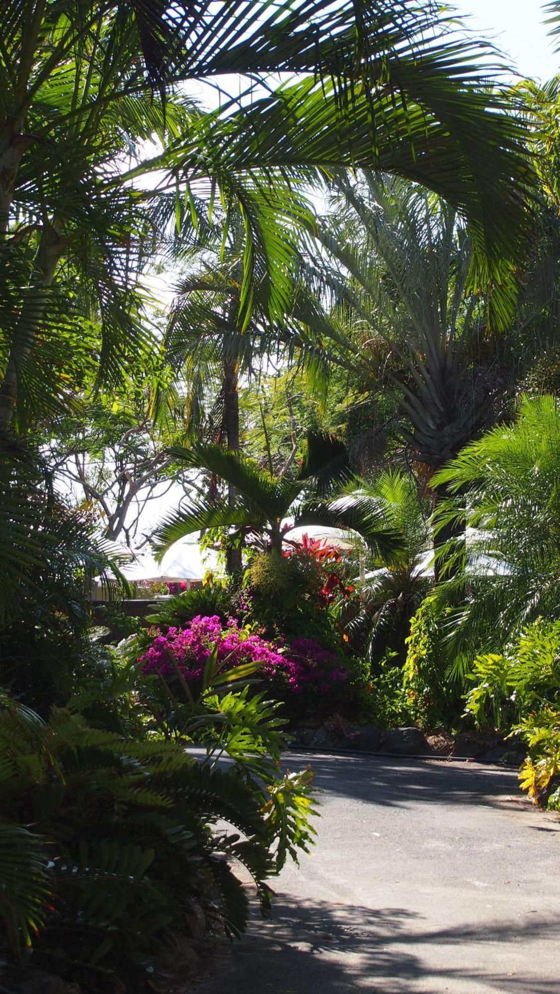 Palm Bay Resort ลองไอส์แลนด์ ภายนอก รูปภาพ